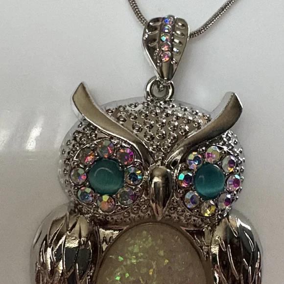 Silver Owl Pendant Necklace and Earring Set - Picture 6 of 7